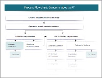 CPO Concerns Process Flowchart